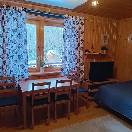 Pod Jesionem Apartment Zakopane